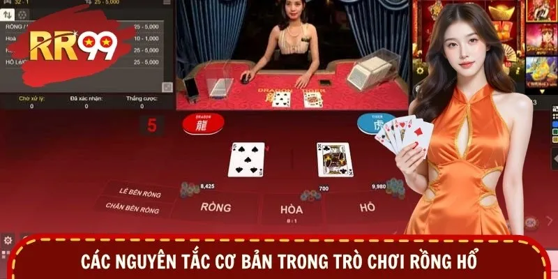 Các nguyên tắc cơ bản trong trò chơi Rồng Hổ