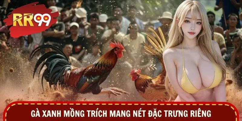 Gà xanh mồng trích mang nét đặc trưng riêng