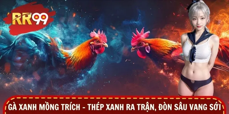 Gà Xanh Mồng Trích – Thép Xanh Ra Trận, Đòn Sâu Vang Sới
