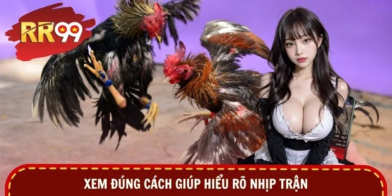 Xem đúng cách giúp hiểu rõ nhịp trận
